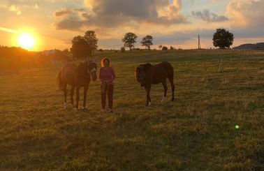 Pfaffensteghof - Foto 15