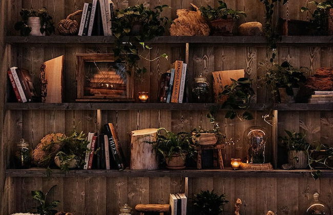 1 Hotel Toronto - Foto 3