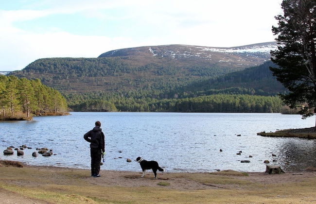 Shetland Cottage - Foto 37