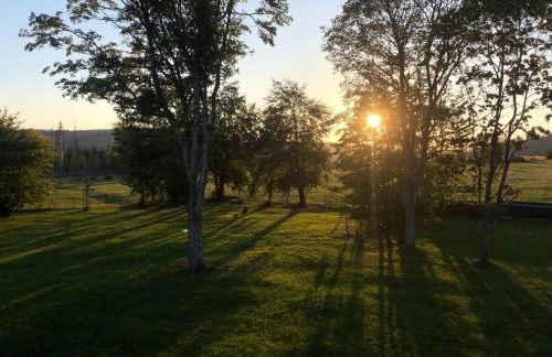 Altes Forsthaus Königskrug - Foto 26