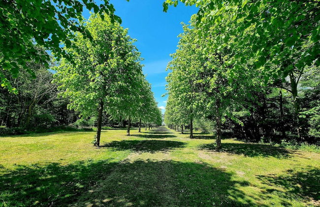 4 Person Holiday Home in Skibby-by Traum - Foto 16