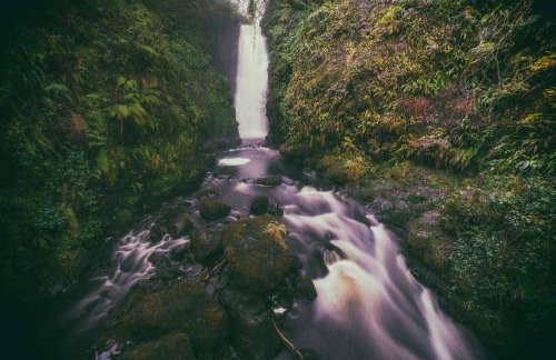 Waterfall Cottage - Foto 10