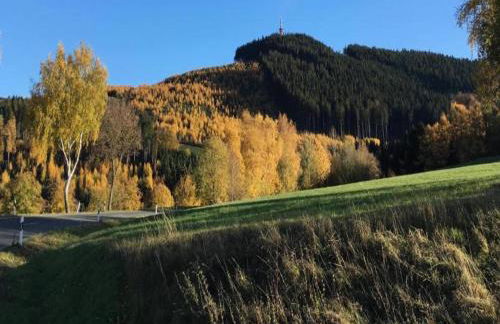 Ferienhaus in Bestwig mit Privatem Garten - Foto 55