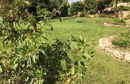 Anna's Stone House - Foto 32