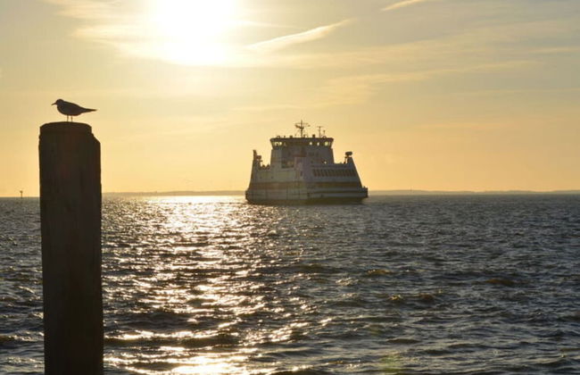 Holiday Home Gray Seal - Photo 29