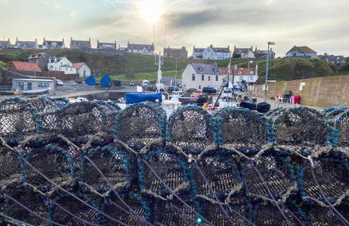 Fairlaw Garden Cottage - Photo 16