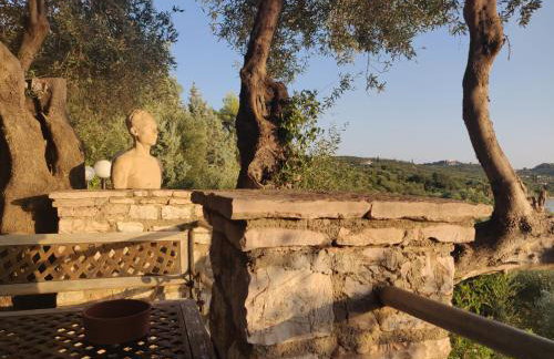 ArokariApartments - Foto 78