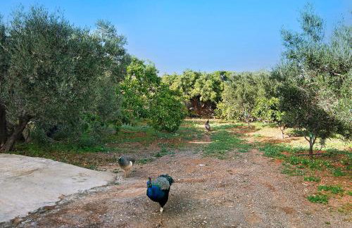 Casa Las Toscas - Foto 28