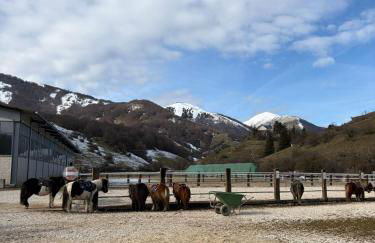 Natura, Sport, Relax in Pescasseroli Residence ERICA - Foto 20