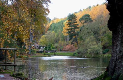 Rock View Cottage, 2 bedrooms near Alton Towers - Foto 20