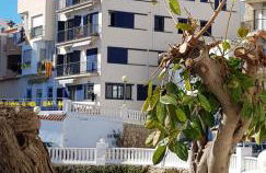 Bella vista - Foto 14