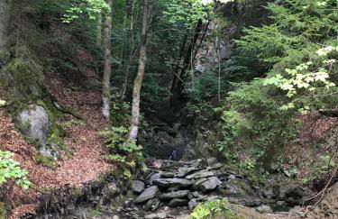 Landhaus Silbach - Photo 37