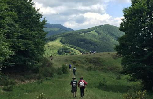 Tuscany, Loro Ciuffenna Mountain Bike&walking - Foto 65