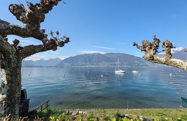 Garden on the lake 2 - Foto 22