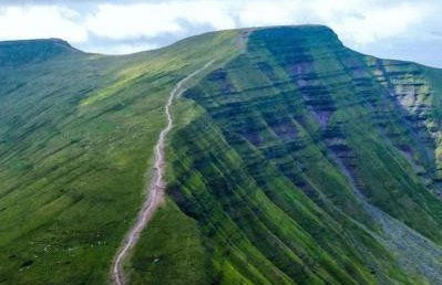 Herbert Place - Foto 59