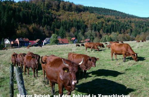 Gästehaus Bündge - Foto 8