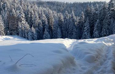 Apartament w górach Gorce - Foto 50