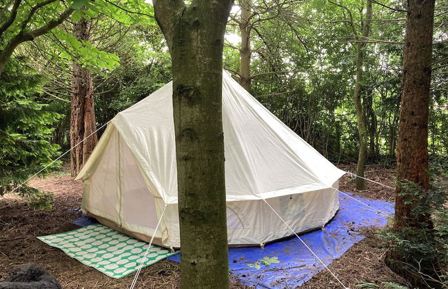 Woodlands Basic Bell Tent 3 - Foto 30