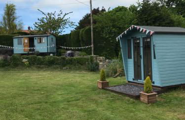 Shepherds Hut in the Hills - Nr. Mold - Foto 15