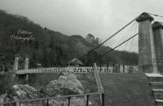 La Belle Époque d'Annecy - Photo 27