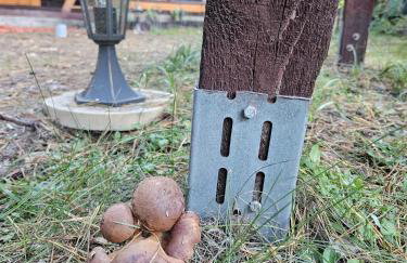 HomeWood - Popowo Letnisko - Foto 12