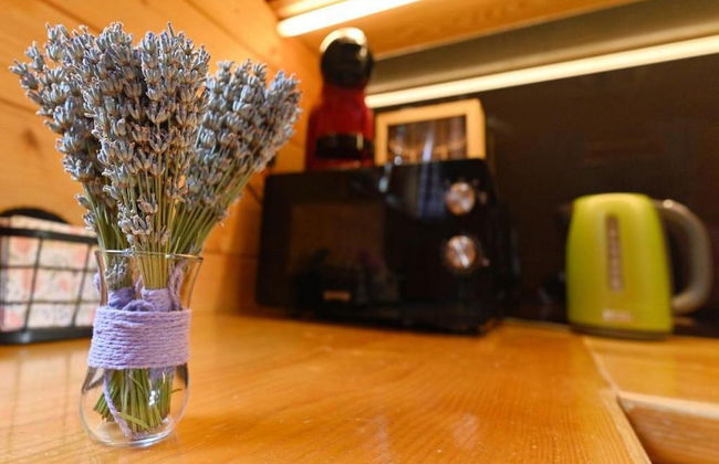 Lavanda Land - Villatanya Mrežnica - Foto 15