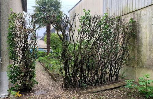 Le Mimosa, Maison-Jardin dans Rennes- 2 chambres - Photo 18