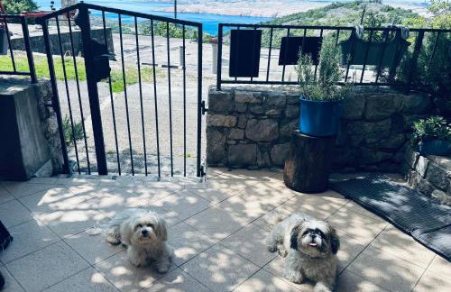 Kuća za odmor “Dida” - Photo 8