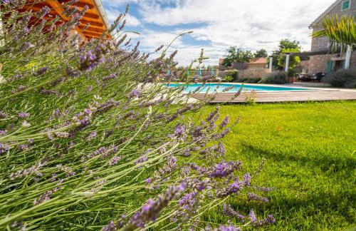 Božini dvori- Villa with Pool, Sauna , Jacuzzi and multifunkcional sport Court - Foto 81