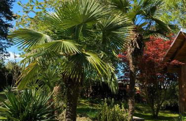 Ferienhaus Königsnase - Foto 11