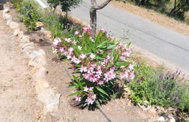 Casa de Celebrar a Vida - Foto 43