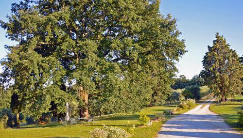 Pò delle Buche - Photo 3, Garden view