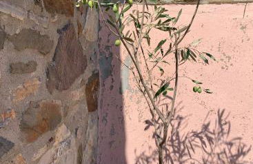 Lithos Homes - Foto 9