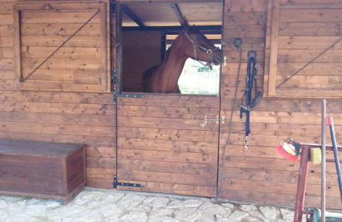 Agriturismo Il Paradiso - Foto 134