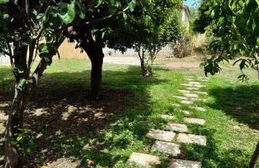 SOFIAS APARTMENTS in LESVOS - Photo 28