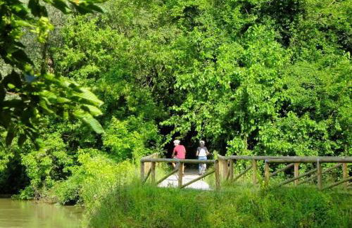 Appartamento a Quarto D Altino - La Rosa del Sile - Foto 34