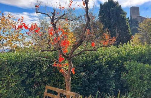 La Casa di Orazio - Foto 43