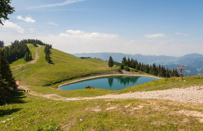 Pool & Wellness Chalet Sunshine - Photo 38