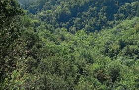 Kastorio-Villy's Guest House - Foto 68