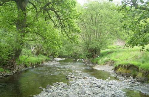 Deer Cabin-hot tub-dog friendly-mountain view - Foto 37