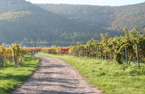 Ferienwohnung Spatzennest in Edesheim - Foto 21