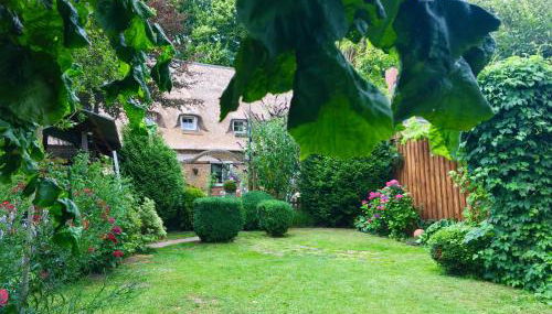 Kreatives Wohnen unter Reet ruhig und doch zentral - Foto 3