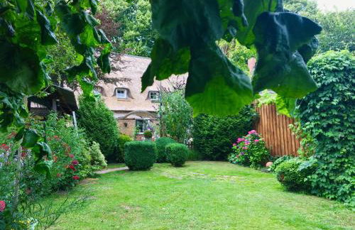 Kreatives Wohnen unter Reet ruhig und doch zentral - Foto 3