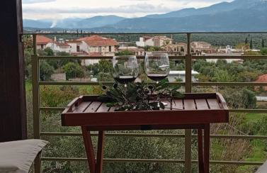 Aeria View - Foto 34