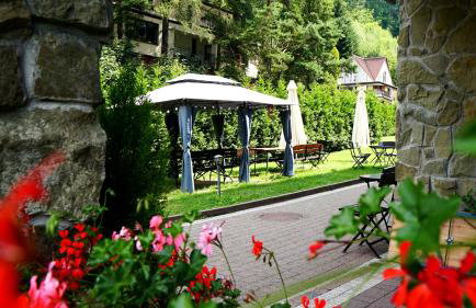 Czarodziejska Góra Kozubnik Daglezja - Foto 34