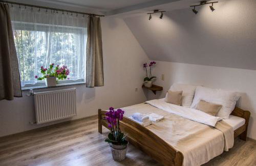 Agroturystyka Sikorki - Foto 36