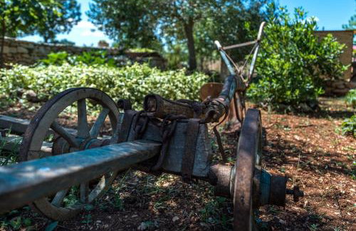 Rural house Mudrinic "Ivini dvori" - Foto 49