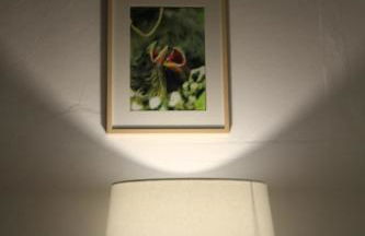 Casa dos Avós - Foto 32