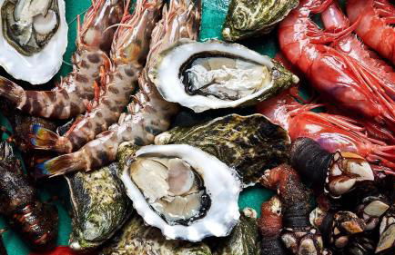 Rio Pearl 49 - Photo 39