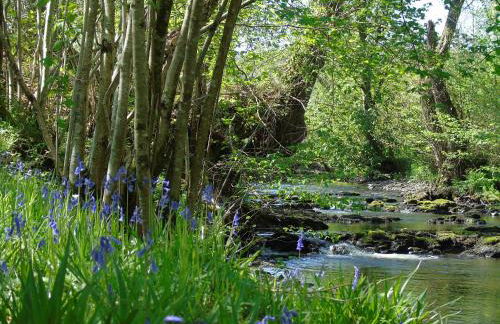 Pwllgwilym B & B - Foto 46